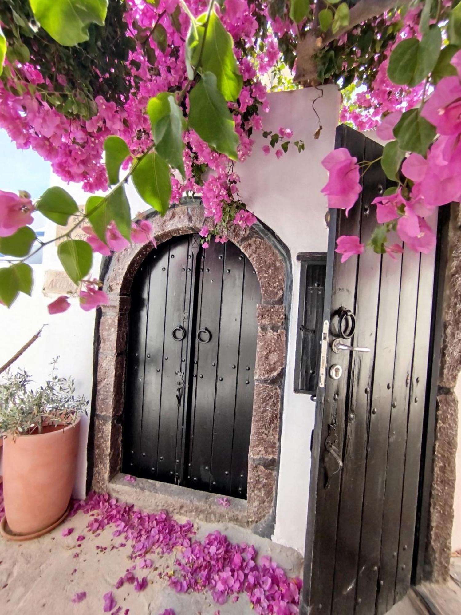 Villa Orpheus Santorini メガロホリ エクステリア 写真